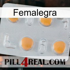 Femalegra 24